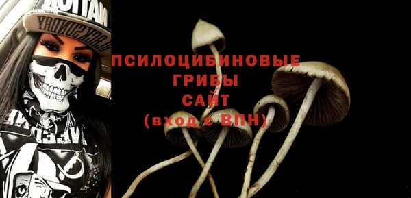 ГАЛЛЮЦИНОГЕННЫЕ ГРИБЫ Переславль-Залесский