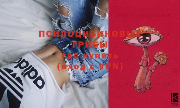 ешки Пересвет