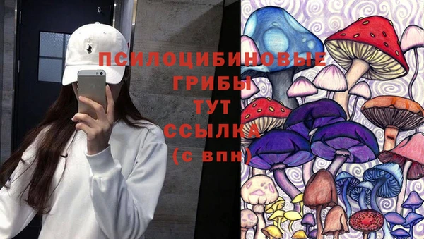 твердый Осташков