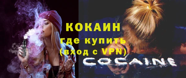 твердый Осташков