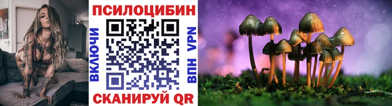 Псилоцибиновые грибы Psilocybine cubensis  Абдулино 